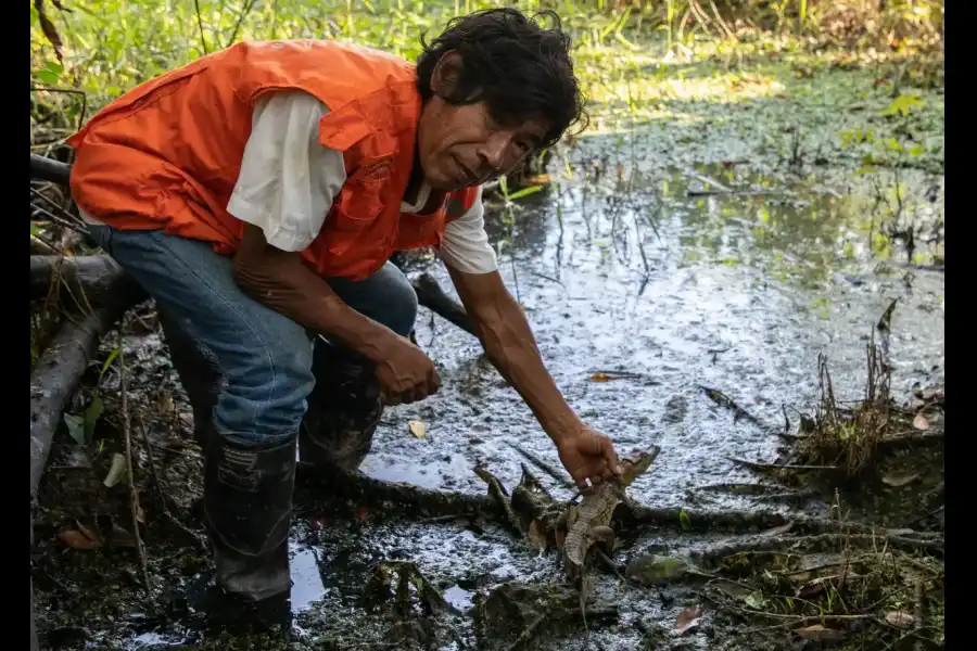 Imagen Área De Conservación Asoconprebiocha - Imagen 5