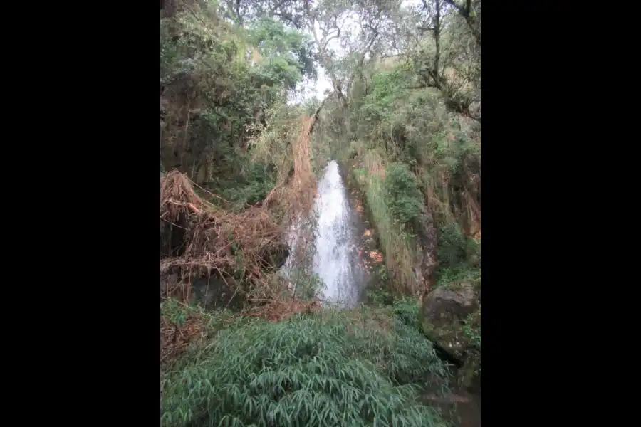 Imagen Catarata Bella Durmiente De La Fortaleza San Francisco De San Antonio - Imagen 4