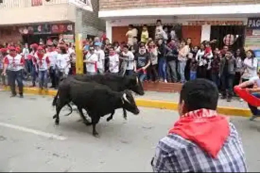 Imagen Fiesta Patronal Santísima Virgen María Del Rosario - Imagen 5