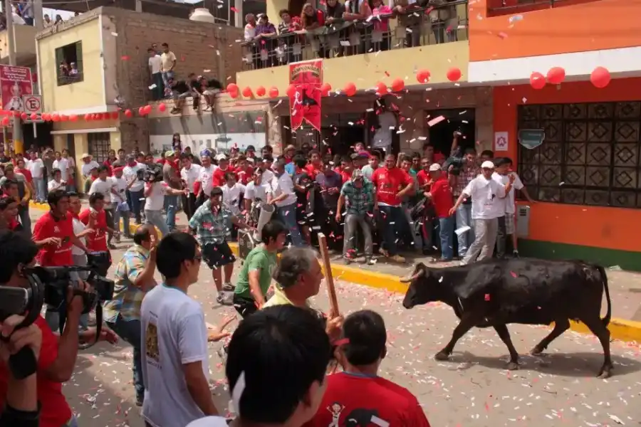 Imagen Fiesta Patronal Santísima Virgen María Del Rosario - Imagen 6