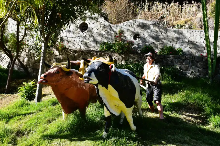 Imagen Complejo Ecoturístico El Chorro - Imagen 4