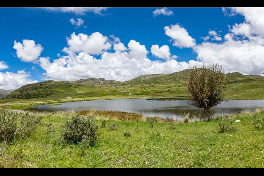 Imagen Laguna Mikukuqucha O Micococha - Imagen 1