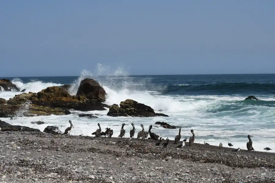 Imagen Playa Piedras Negras - Ilo - Imagen 8