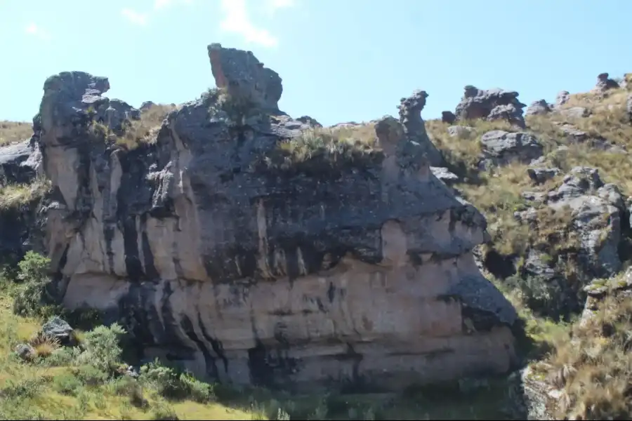 Imagen Bosque De Piedra De Cunyaj - Imagen 1