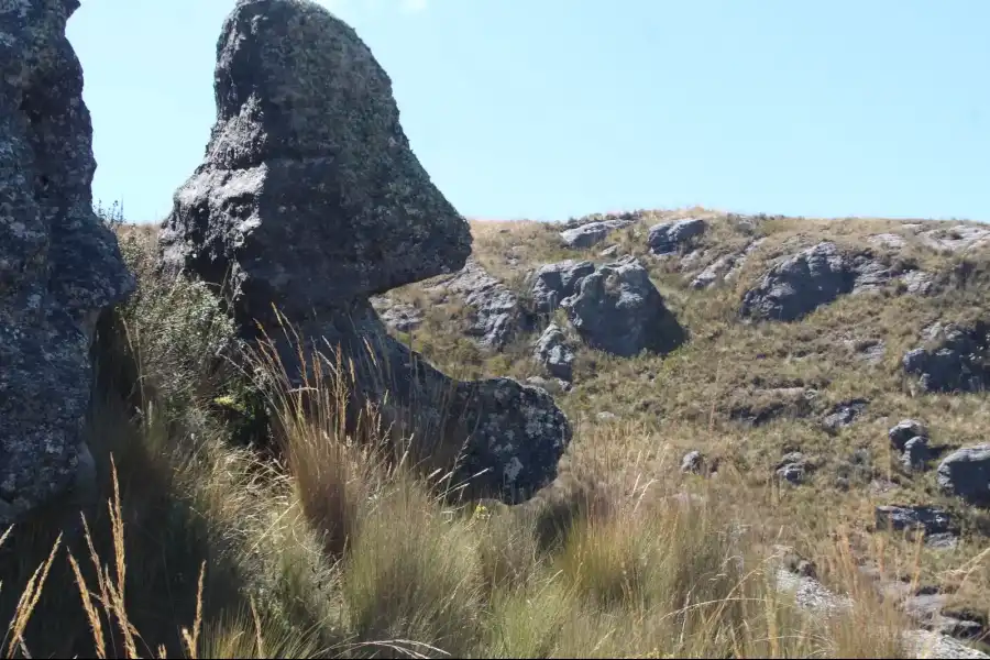 Imagen Bosque De Piedra De Cunyaj - Imagen 4