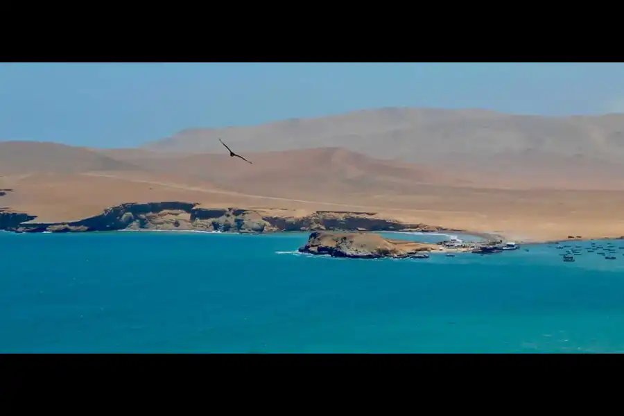 Imagen Reserva Nacional De Paracas - Imagen 1