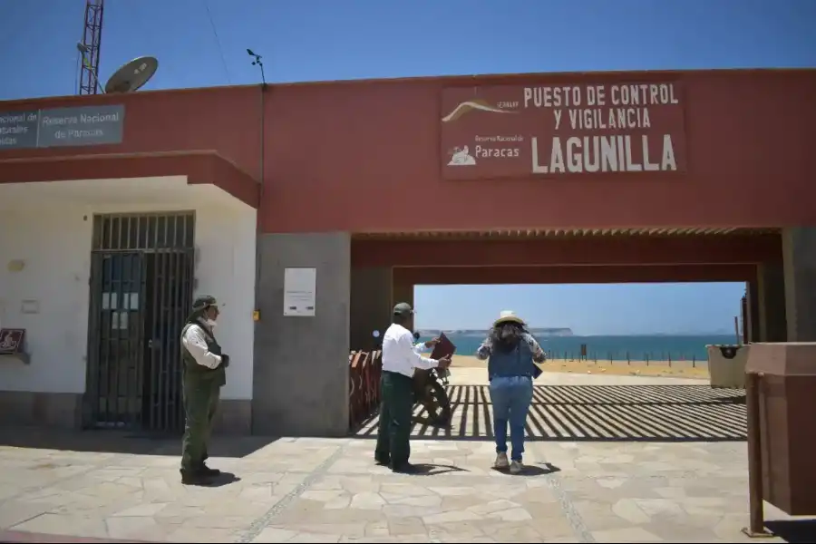 Imagen Reserva Nacional De Paracas - Imagen 10