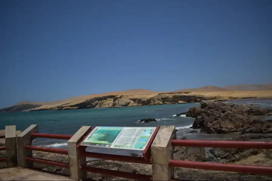 Imagen Reserva Nacional De Paracas - Imagen 3