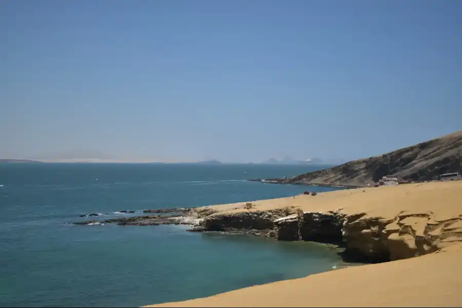 Imagen Reserva Nacional De Paracas - Imagen 4