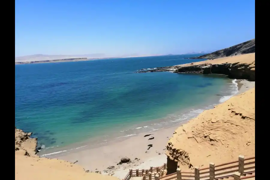 Imagen Reserva Nacional De Paracas - Imagen 6