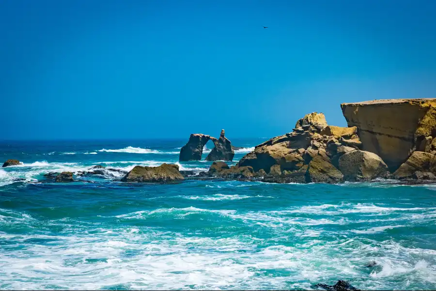 Imagen Playa Los Pingüinos - San Juan De Marcona. - Imagen 1