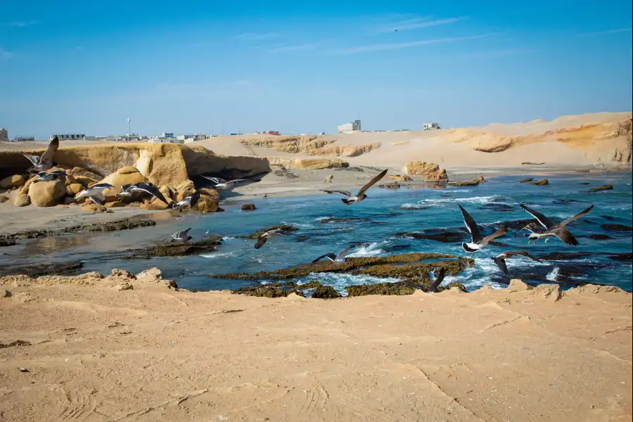 Imagen Playa Los Pingüinos - San Juan De Marcona. - Imagen 3