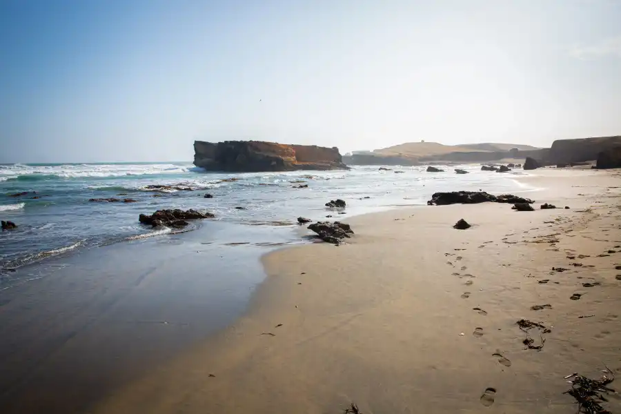 Imagen Playa Los Pingüinos - San Juan De Marcona. - Imagen 4