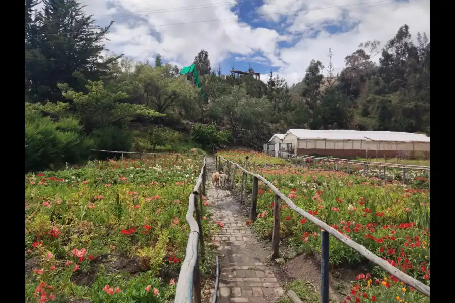 Imagen Centro Ecológico De Huanchac - Huari. - Imagen 6