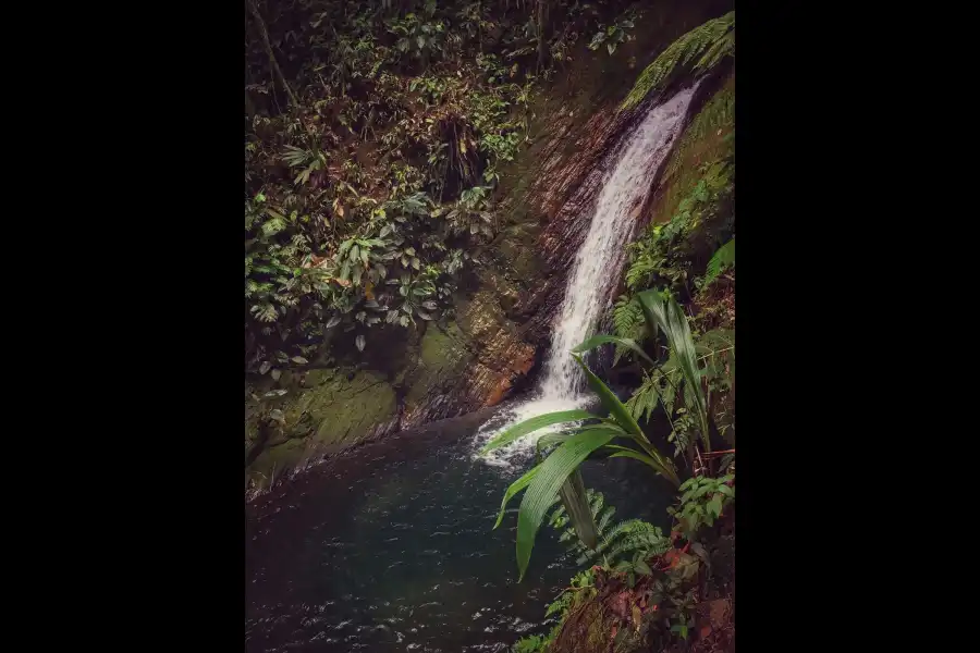 Imagen Cascada De Progreso - La Banda De Shilcayo - Imagen 4