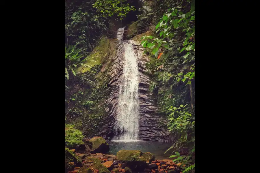 Imagen Cascada De Progreso - La Banda De Shilcayo - Imagen 5