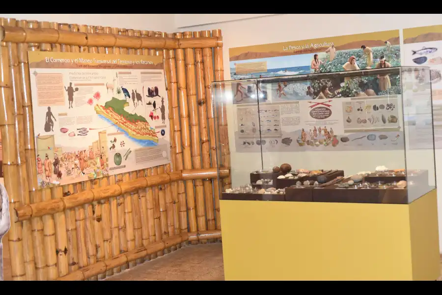 Imagen Museo Comunitario De Végueta José Mateo García De Los Santos - Imagen 11