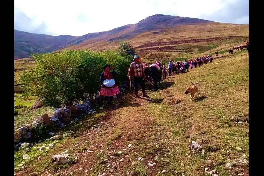 Imagen Festividad La Rayada De San Juan De  Jarpa - Imagen 3