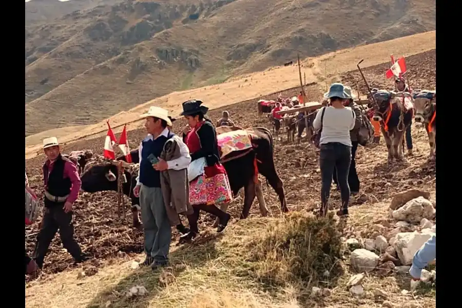 Imagen Festividad La Rayada De San Juan De  Jarpa - Imagen 5