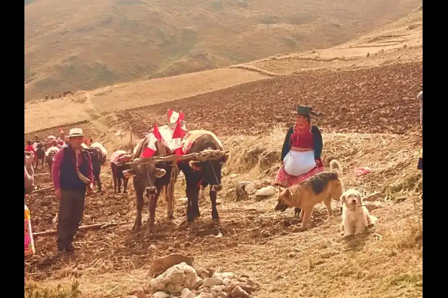 Imagen Festividad La Rayada De San Juan De  Jarpa - Imagen 9