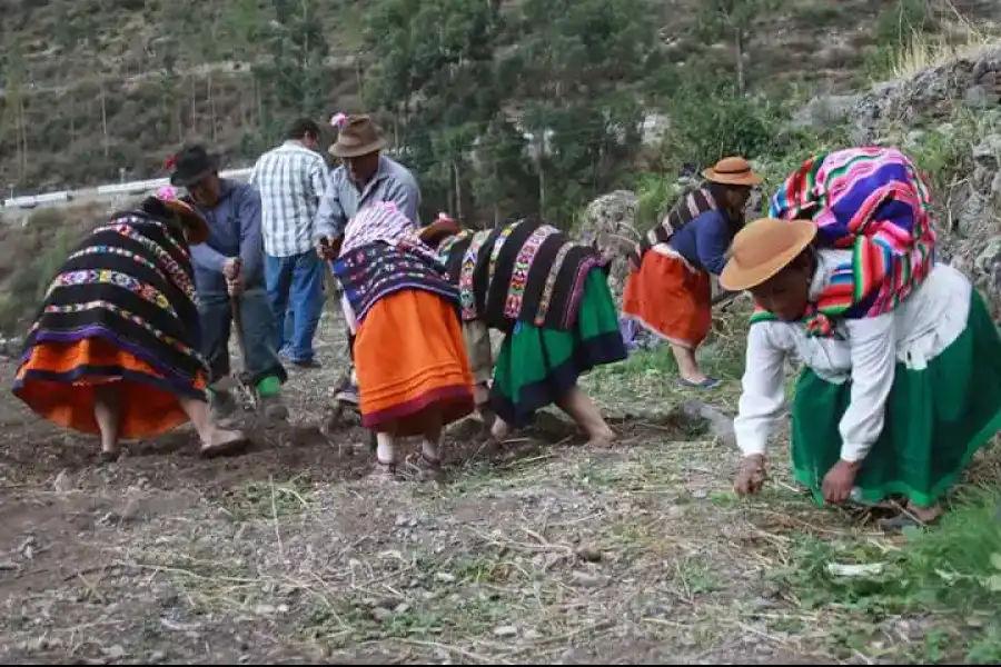 Imagen Limpia Acequia De Laraos - Imagen 9