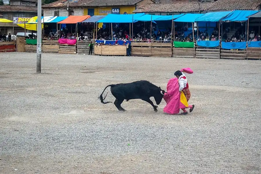 Imagen Fiesta Tradicional En Honor Al Patrón San Jerónimo - Imagen 11