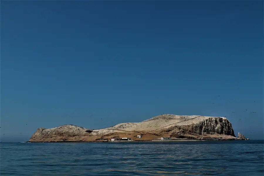 Imagen Reserva Nacional Sistema De Islas, Islotes Y Puntas Guaneras – Isla Don Martín - Imagen 3