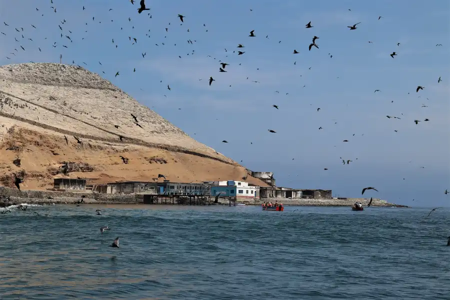 Imagen Reserva Nacional Sistema De Islas, Islotes Y Puntas Guaneras – Isla Don Martín - Imagen 4