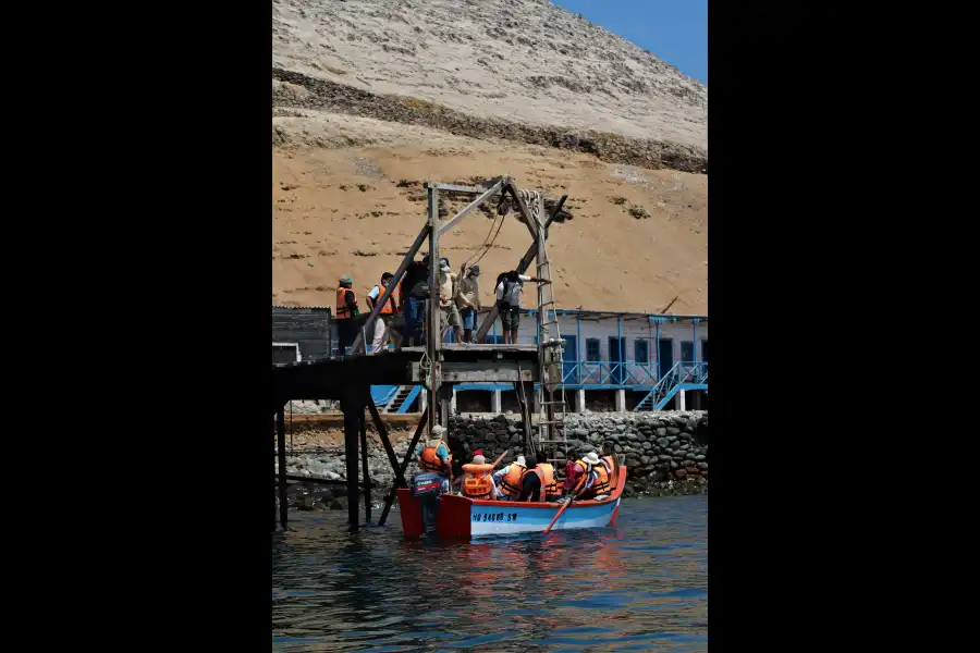 Imagen Reserva Nacional Sistema De Islas, Islotes Y Puntas Guaneras – Isla Don Martín - Imagen 5