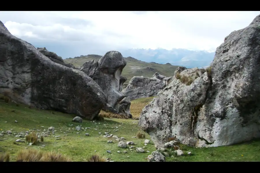 Imagen Bosque De Piedra Anqomache - Imagen 3