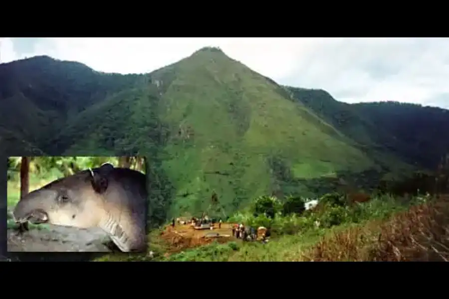 Imagen Santuario Nacional Tabaconas Namballe - Imagen 1