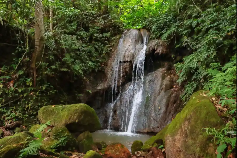 Imagen Cascadas Del Amor Y La Niña - Imagen 6