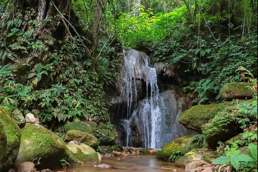 Imagen Cascadas Del Amor Y La Niña - Imagen 7