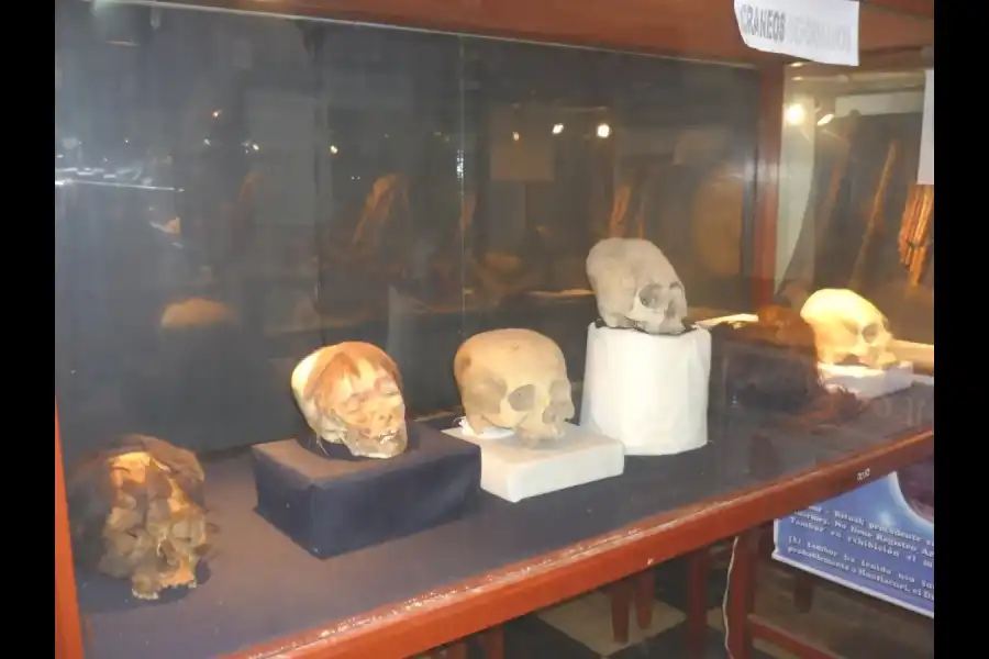 Imagen Museo De Arqueología De La Universidad Nacional José Faustino Sánchez Carrión - Imagen 1