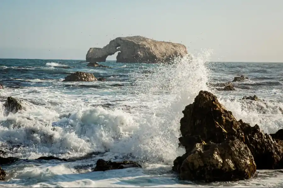 Imagen Playa El Elefante - San Juan De Marcona. - Imagen 4