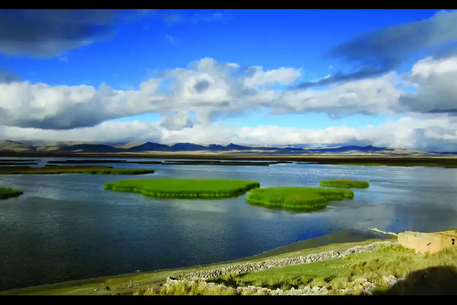 Imagen Reserva Nacional De Junín - Imagen 1