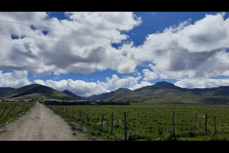 Imagen Reserva Nacional De Junín - Imagen 9