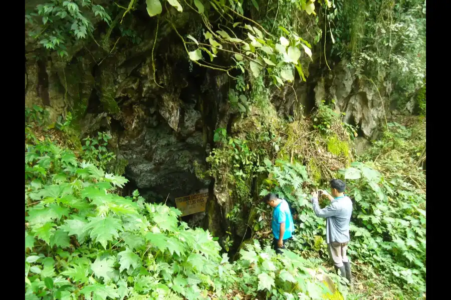 Imagen Cueva De Los Huacharos - Imagen 3