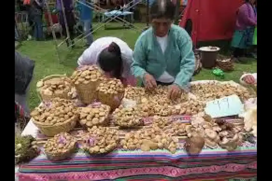 Imagen Festival De Qoncha Raymi En Cconchacalla - Imagen 6