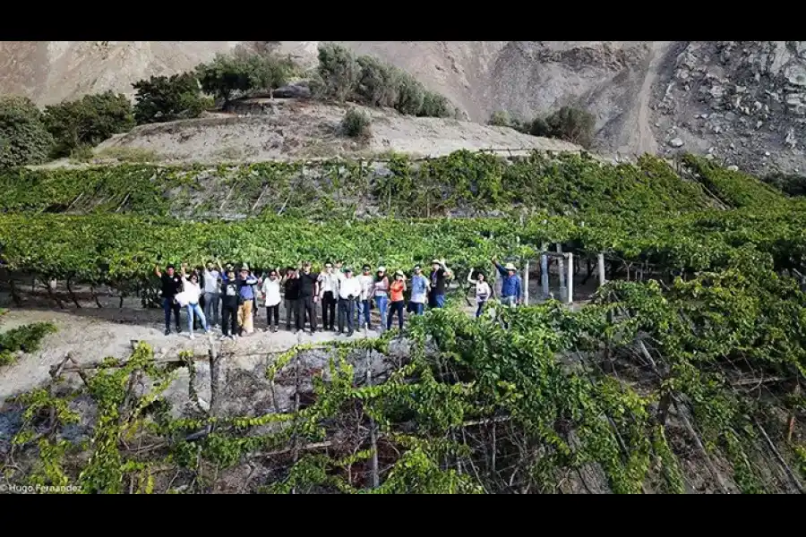 Imagen Bodega Santo Domingo - Marqués De Torán - Imagen 3