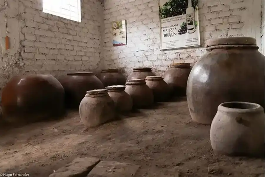 Imagen Bodega Santo Domingo - Marqués De Torán - Imagen 5