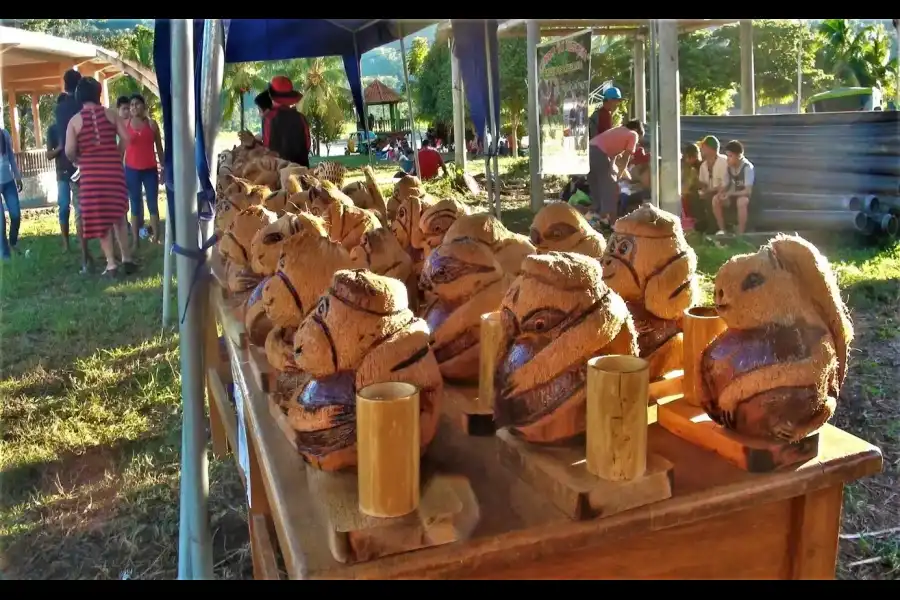 Imagen Festival Del Coco De Puerto Mayo - Imagen 3