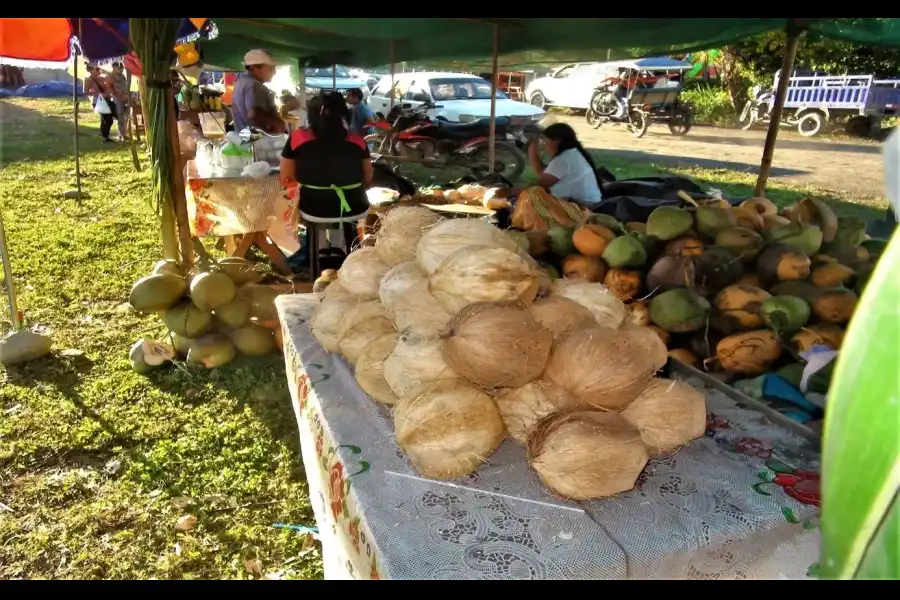 Imagen Festival Del Coco De Puerto Mayo - Imagen 4