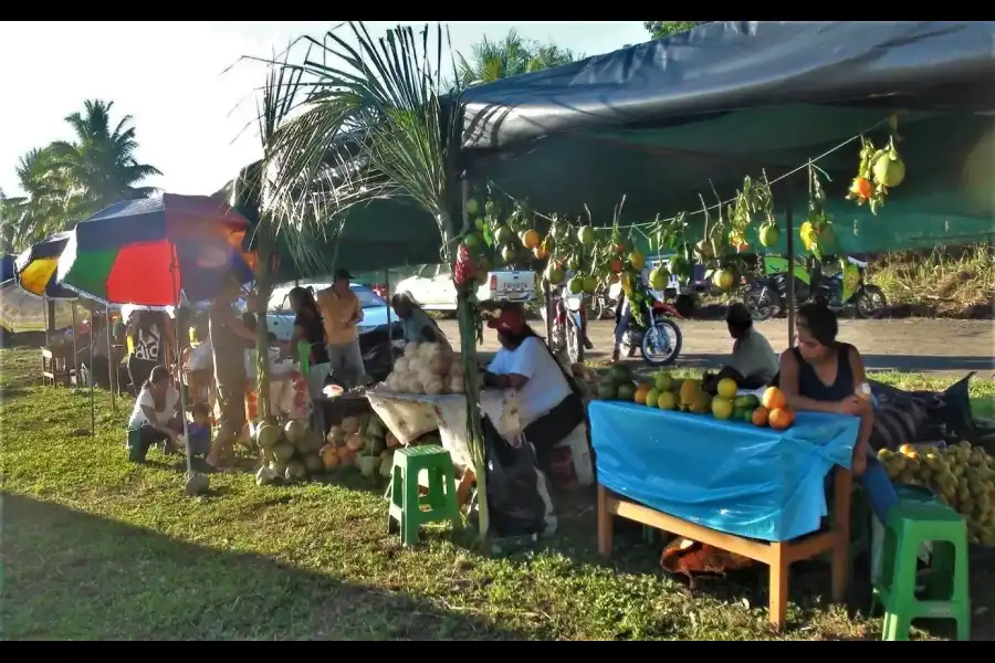 Imagen Festival Del Coco De Puerto Mayo - Imagen 6