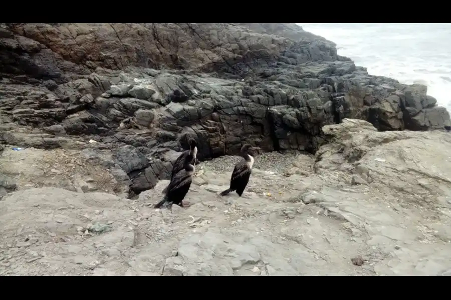 Imagen Playa Chacra Y Mar - Imagen 4