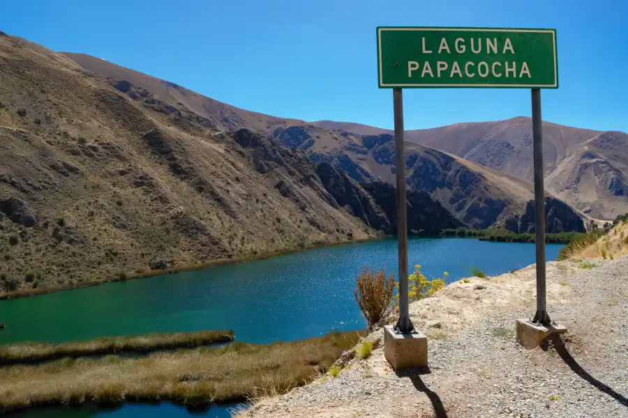 Imagen Laguna Papacocha De Vilca - Imagen 5