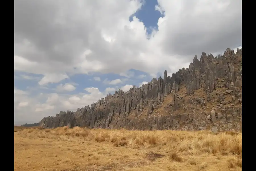 Imagen Santuario Nacional De Huayllay - Imagen 12