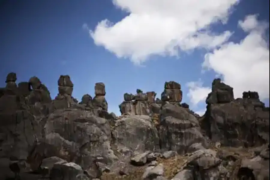 Imagen Santuario Nacional De Huayllay - Imagen 3