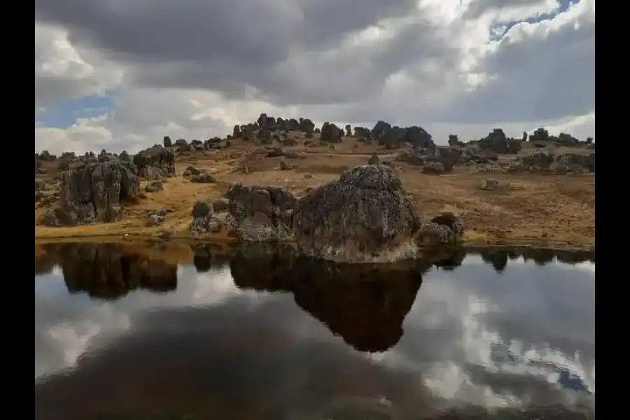 Imagen Santuario Nacional De Huayllay - Imagen 6