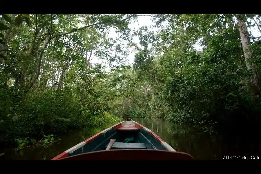 Imagen Reserva Ecológica Santa Elena - Imagen 1